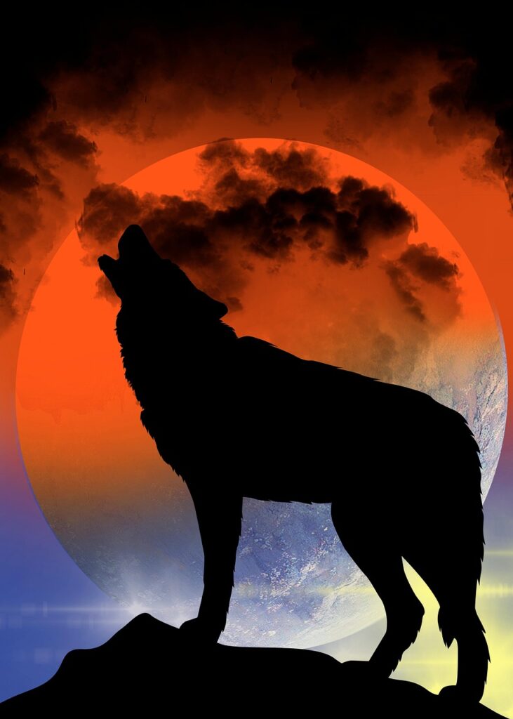 paint, nature, wolf, night, shadow, animal, wild, forest